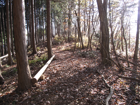 20181115hike (243)